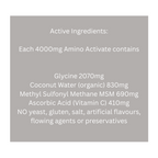 Healthwise Amino Active 150 g