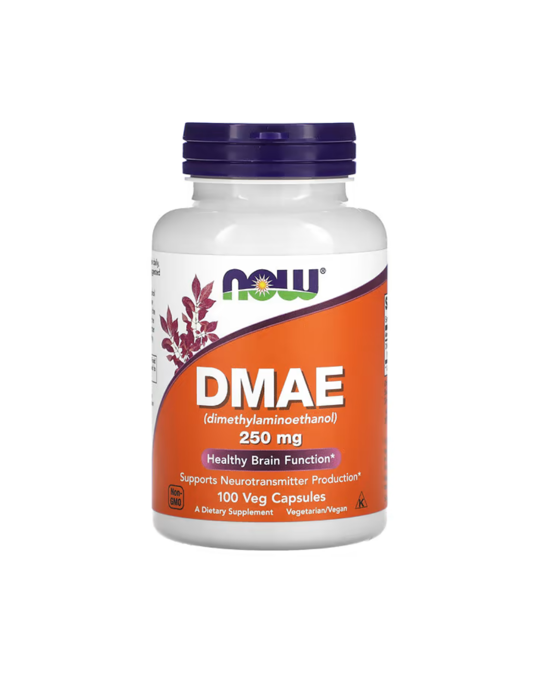 NOW DMAE 100 Veg Capsules