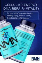 Rootwise Naturals™ NMN 500mg | NAD+ Booster for Energy & Longevity (60 Capsules)