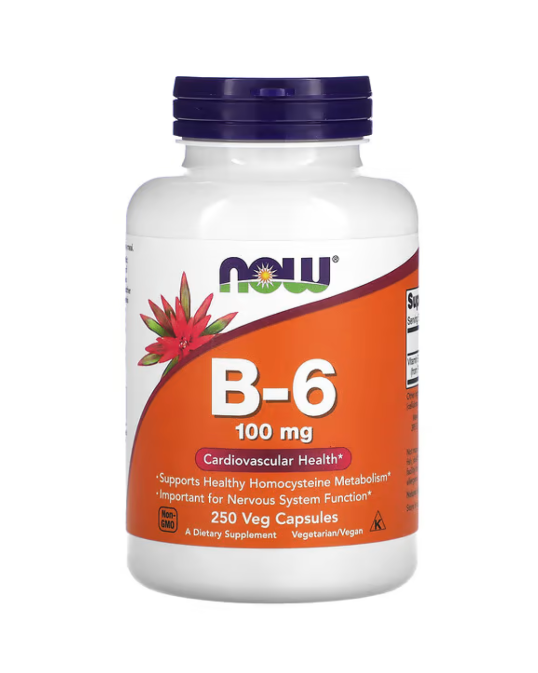 NOW Foods B‑6 100 mg – 250 Veg Capsules