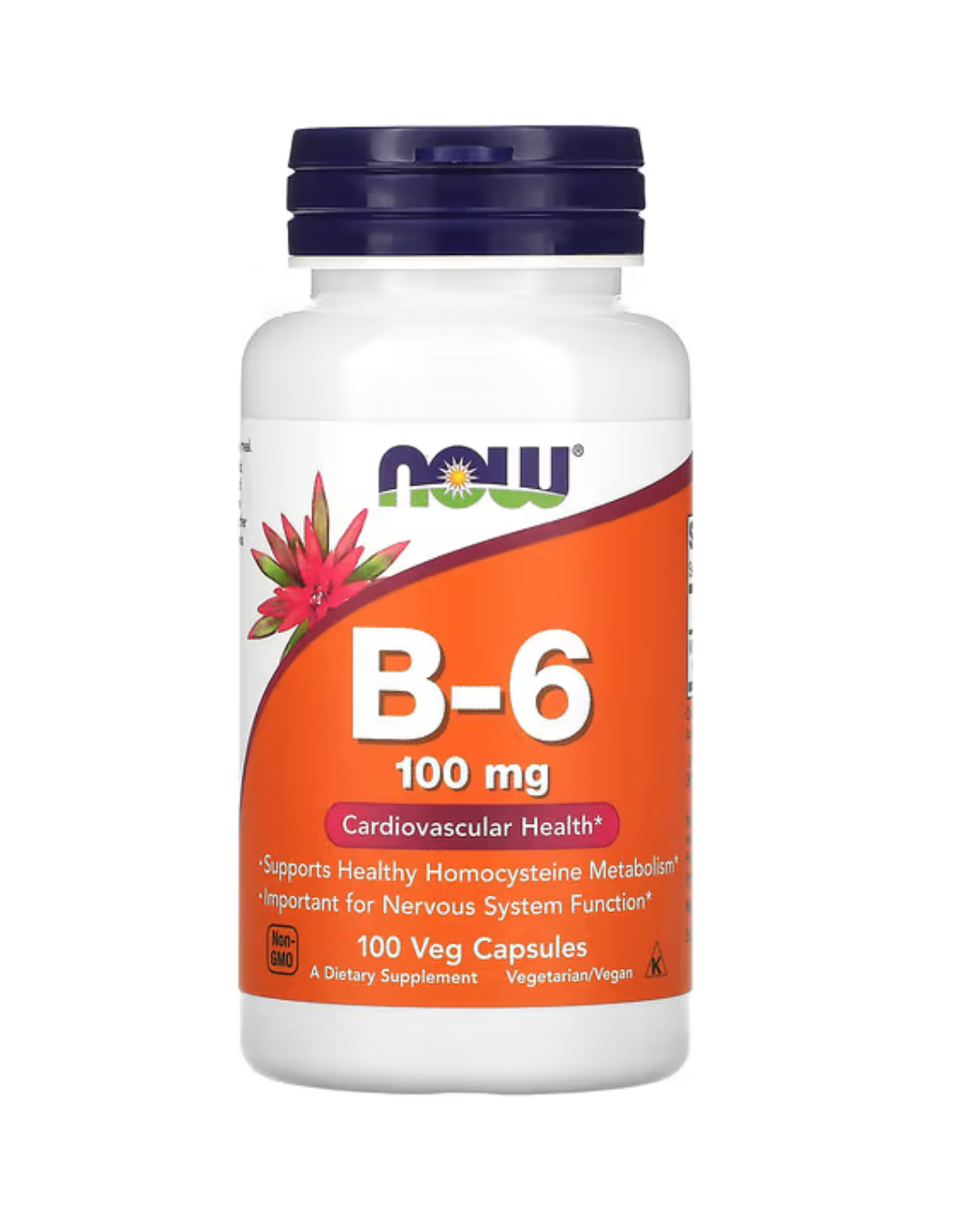 NOW Foods B‑6 100 mg – 100 Veg Capsules