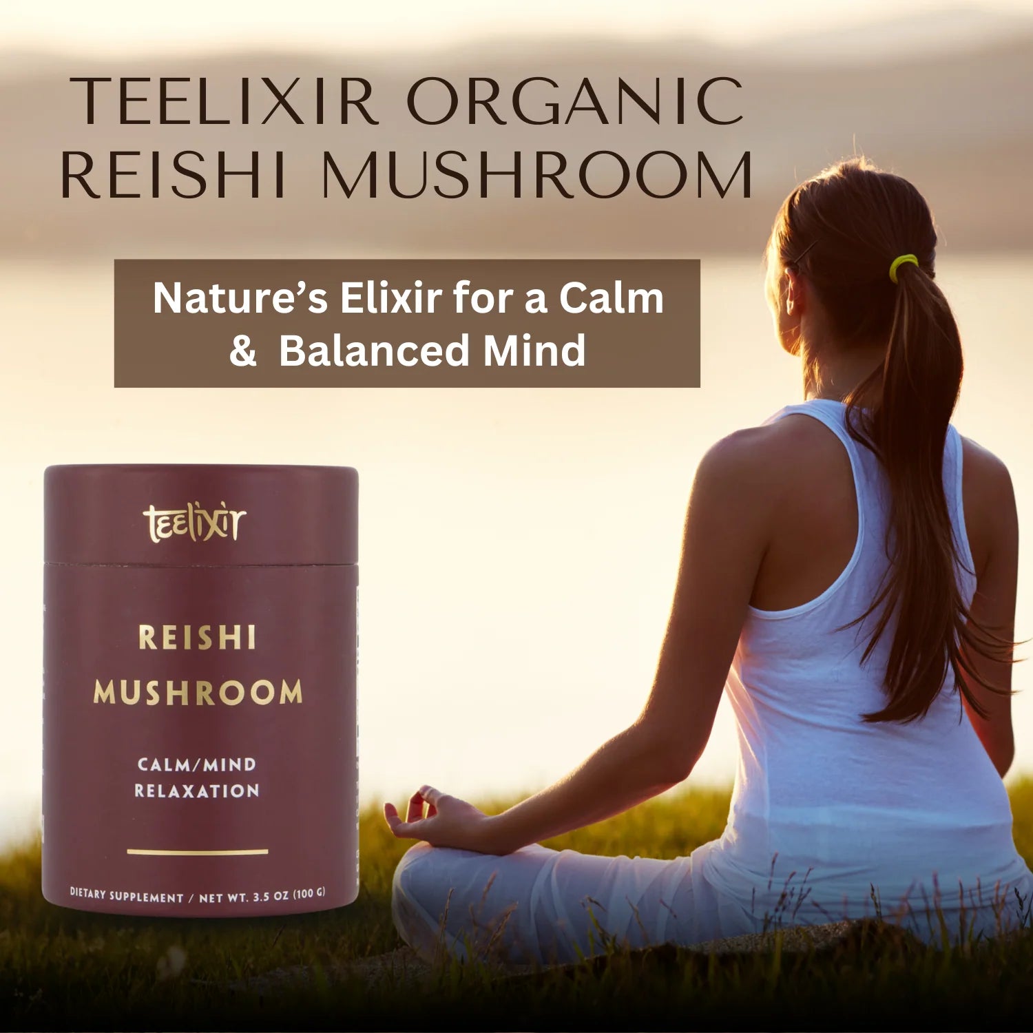 Teelixir Organic Reishi Mushroom (10:1) 100g