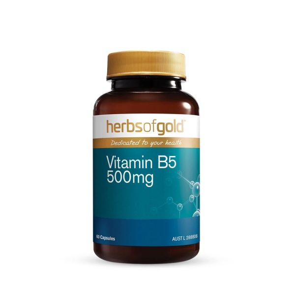 Herbs Of Gold Vitamin B5 500mg (60 Vege Capsules)