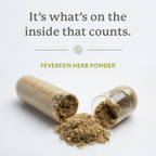 Natures Sunshine Feverfew 100 Hard Caps