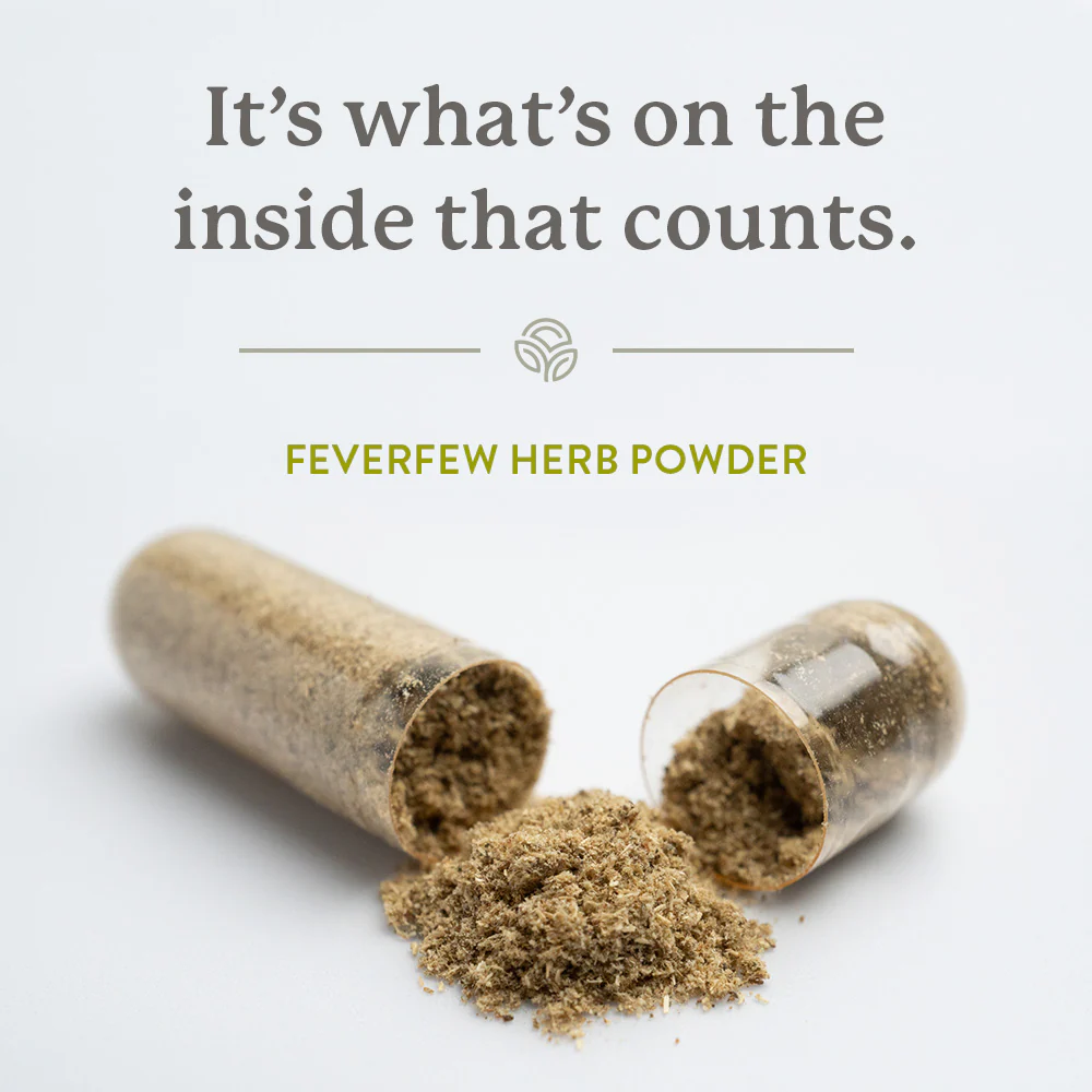 Natures Sunshine Feverfew 100 Hard Caps