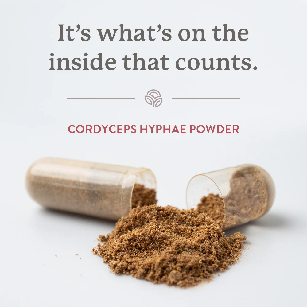 Natures Sunshine Cordyceps 90 Hard Caps