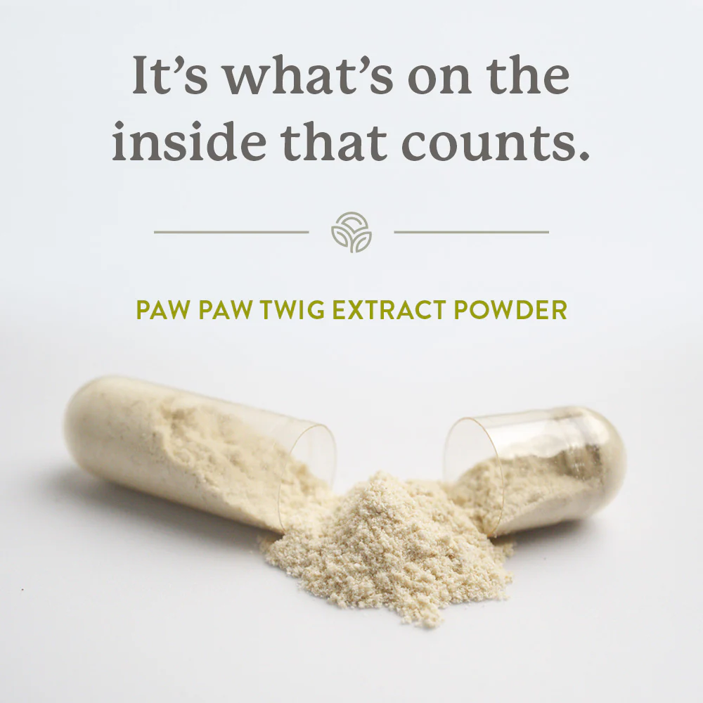 Natures Sunshine Paw Paw 180 Caps