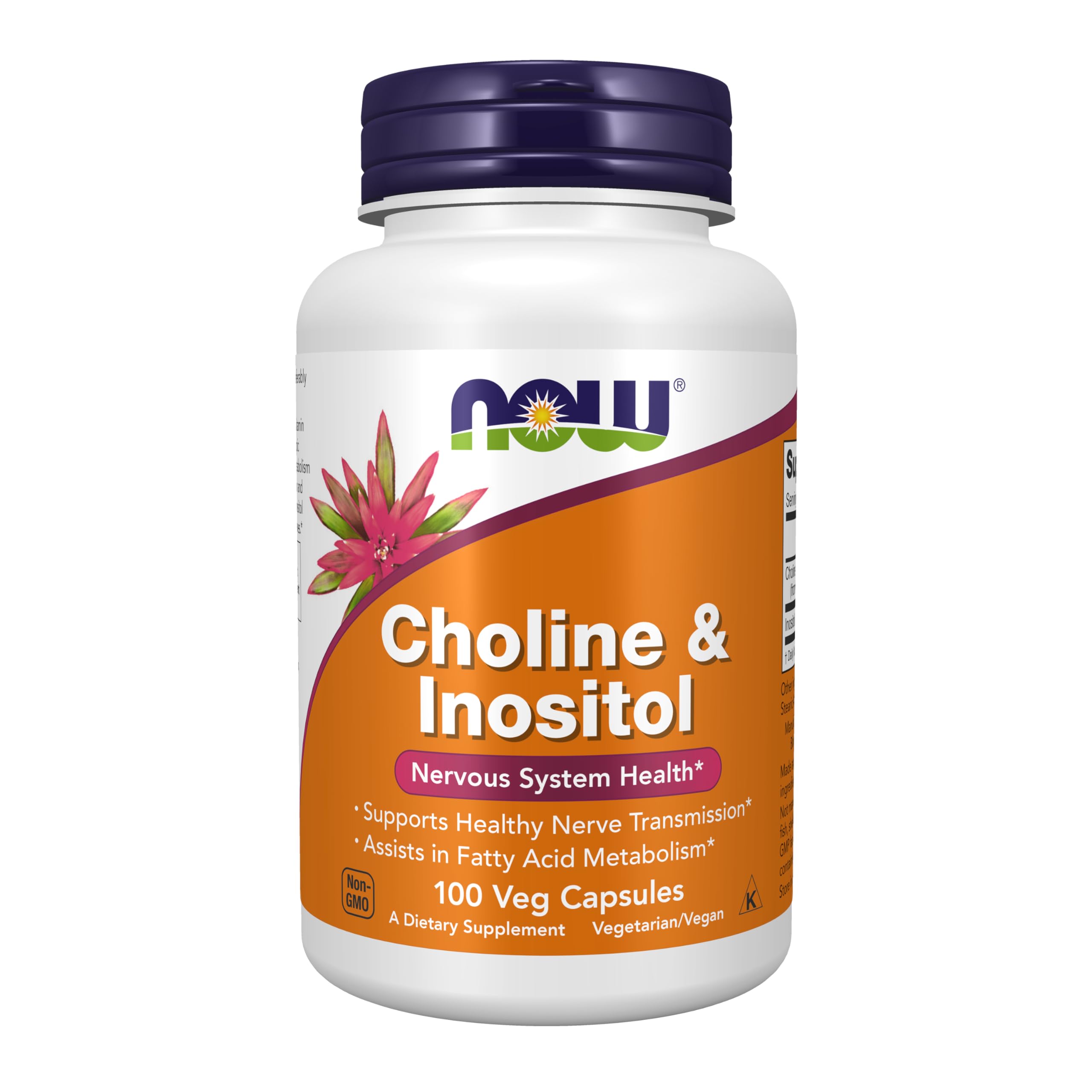 Now Choline & Inositol 100 Veg Capsules