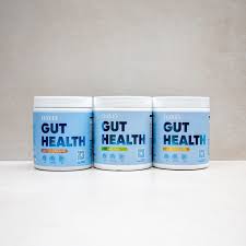 Dayly Gut Health 153 g